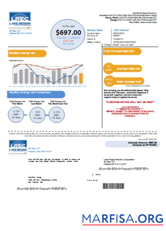 Realistic Lake Region Electric Cooperative utility business bill, SCR sample